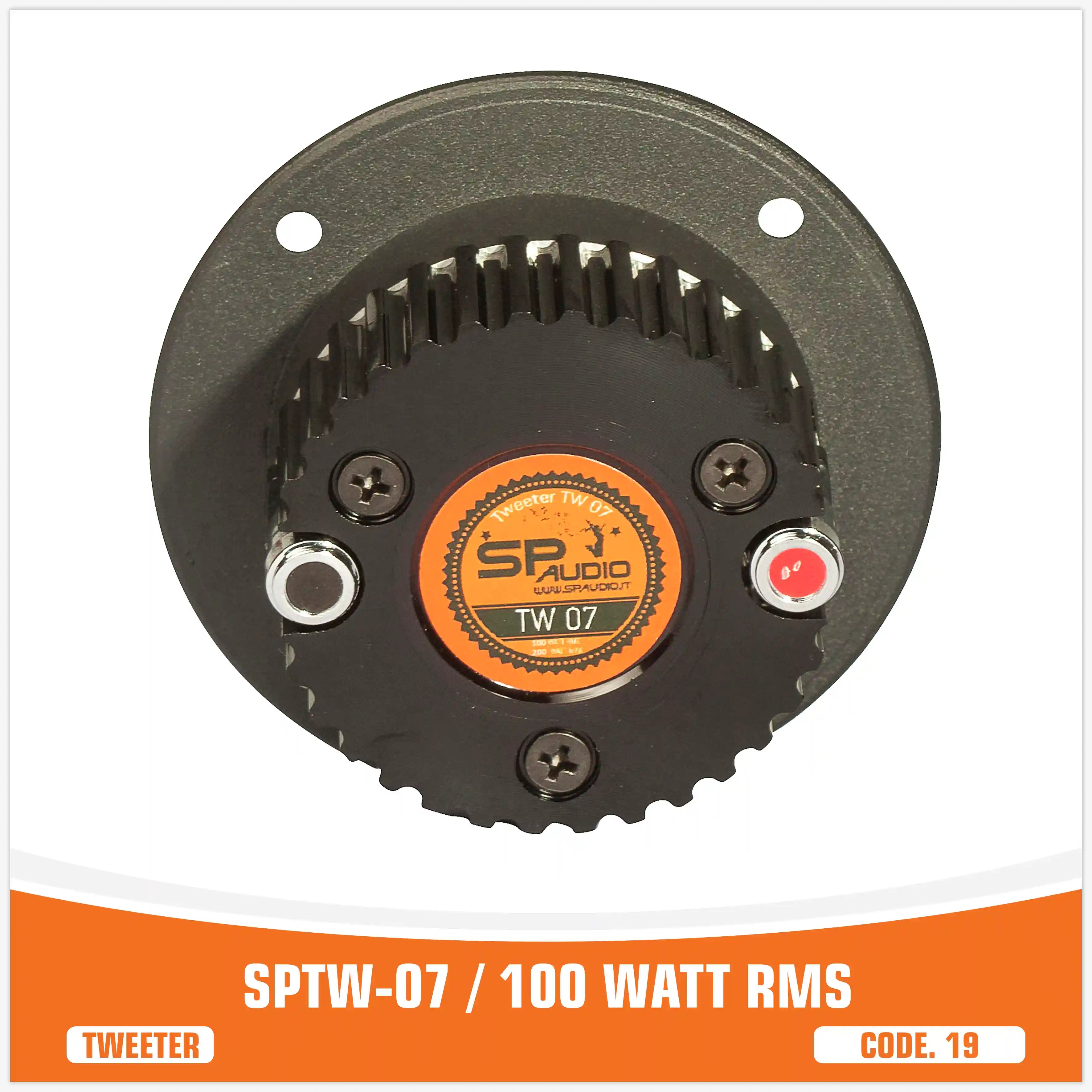 SPTW-07 / 100 WATT RMS (UNIT PRICE)